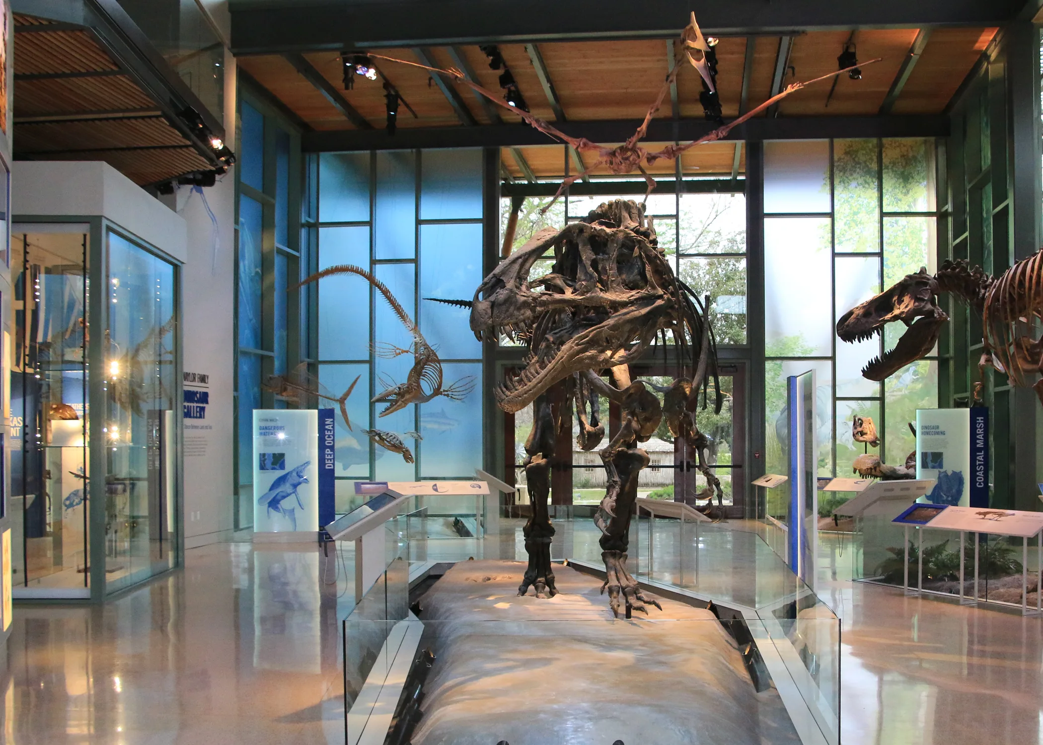 Dinosaur skeleton exhibits inside the Witte Museum in San Antonio